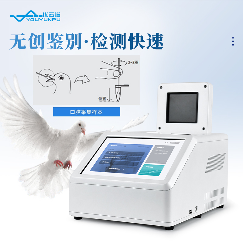 鴿子性別檢測(cè)儀