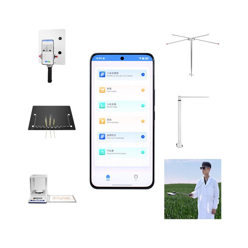 小麥表型檢測系統(tǒng)